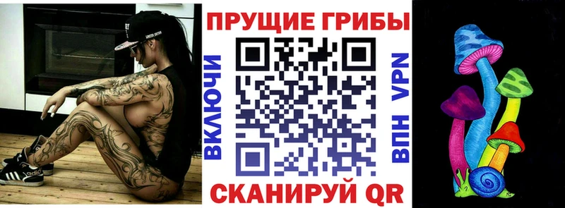 купить закладку  Переславль-Залесский  Псилоцибиновые грибы Magic Shrooms 
